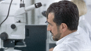 laboratory technician looking at drug resistance