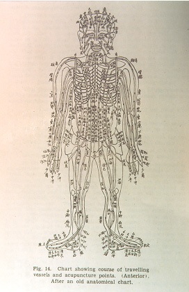 A traditional diagram of the meridians along on the front of the body
