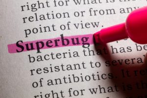 Dictionary definition of the word superbug