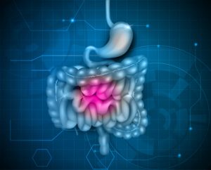 Gastrointestinal tract. Stomach, small intestine and colon, abstract blue technology background. Beautiful bright illustration.