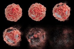 Destruction of a tumor cell. 3D illustration. Series of images showing different stages of destruction of a tumor cell. Can be used to illustrate effect of drugs, medicines, microbes, nanoparticles - Bioresonance.org