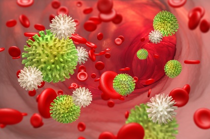 Leukocytes attack the viral infection in the blood. 3D illustration on medical research