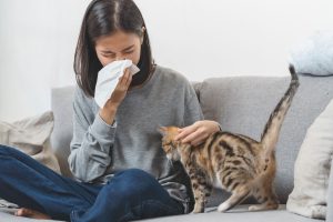 allergy to cats