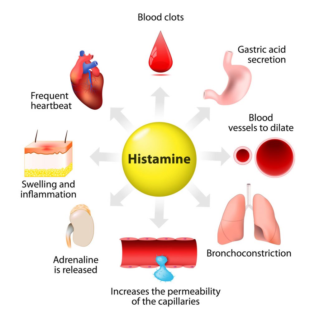 Histamine reaction and effects on the body
