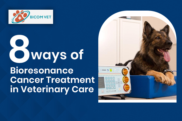 The Role of Bioresonance Cancer Treatment in Veterinary Oncology