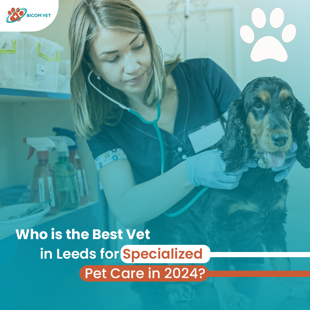 Top Vet in Leeds for Specialized and Emergency Pet Care in 2025