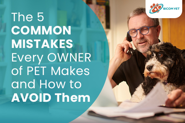 The 5 Common Mistakes Every Owner of Pet Makes and How to Avoid Them