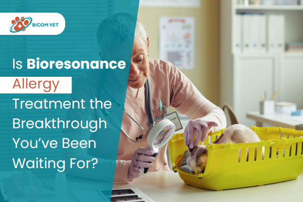 Is Bioresonance Allergy Treatment the Breakthrough You’ve Been Waiting For?