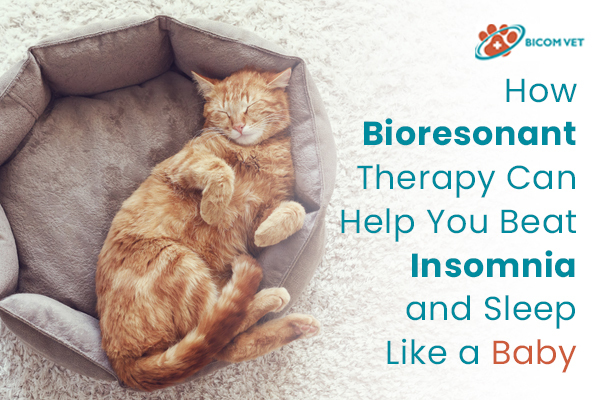 How Bioresonant Therapy Can Help You Beat Insomnia and Sleep Like a Baby