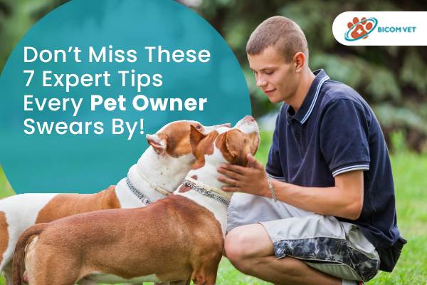 Don’t Miss These 7 Expert Tips Every Pet Owner Swears By!