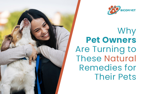 Why Pet Owners Are Turning to These Natural Remedies for Their Pets