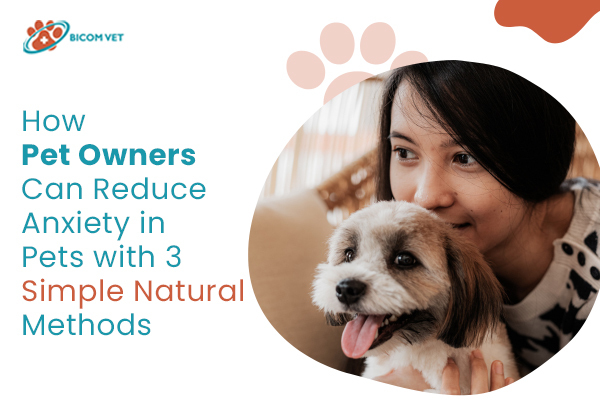 How Pet Owners Can Reduce Anxiety in Pets with 3 Simple Natural Methods