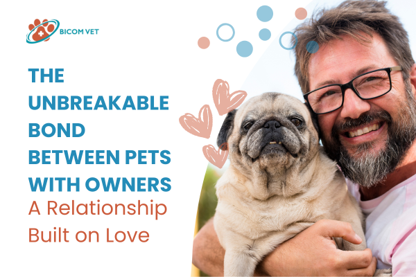 The Unbreakable Bond Between Pets with Owners: A Relationship Built on Love