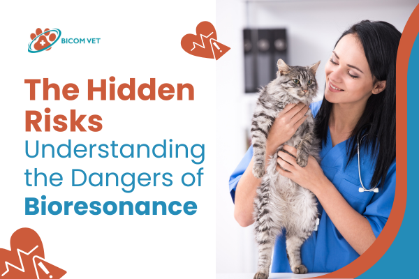 Bioresonance Therapy Near Me – Natural Healing