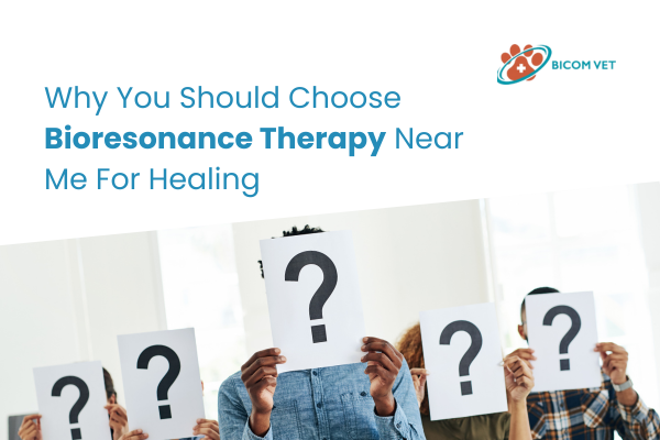 Top Bioresonance Therapy Near Me for Natural Healing