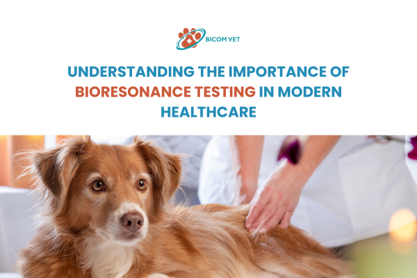 Bioresonance Testing: Discover Your Path to Better Health