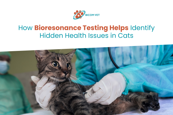 bioresonance testing
