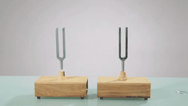 Two tuning forks: striking one makes the other, tuned to the same frequency, vibrate