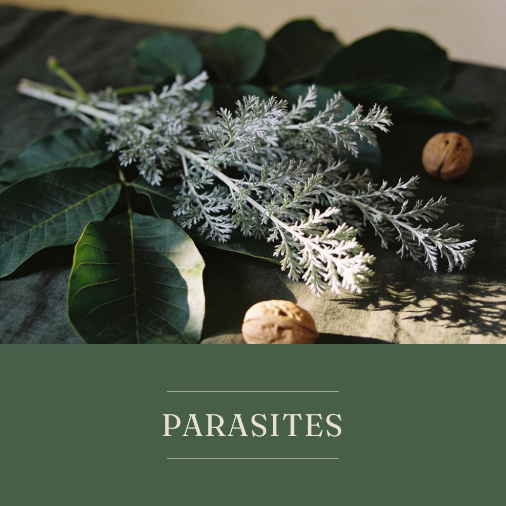 Parasites